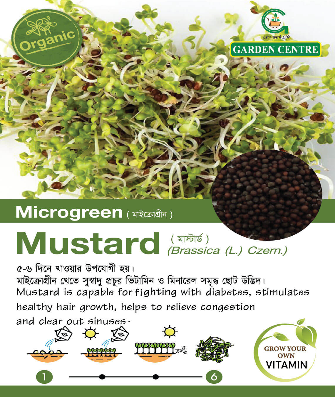 Mustard Microgreen (5 gm)